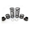 ZBroz Polaris Rzr Xp 4 1000/turbo Tender Spring Kit (Walker Evans Needle Shock)