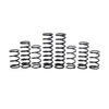ZBroz Polaris Rzr Pro R 4 Walker Evans Stage 1 Spring Kit (2022-2023)