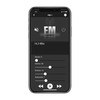 Punch Marine Grade Media Receiver with 2.3" Dot Matrix Display
