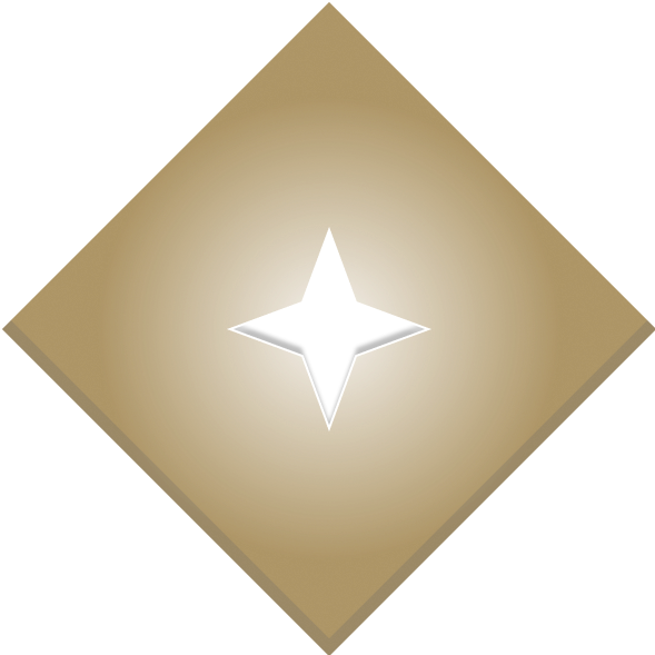 Service Level 1
