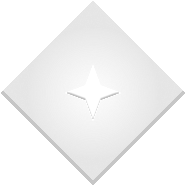 Service Level 2