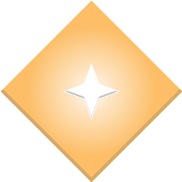 Service Level 3