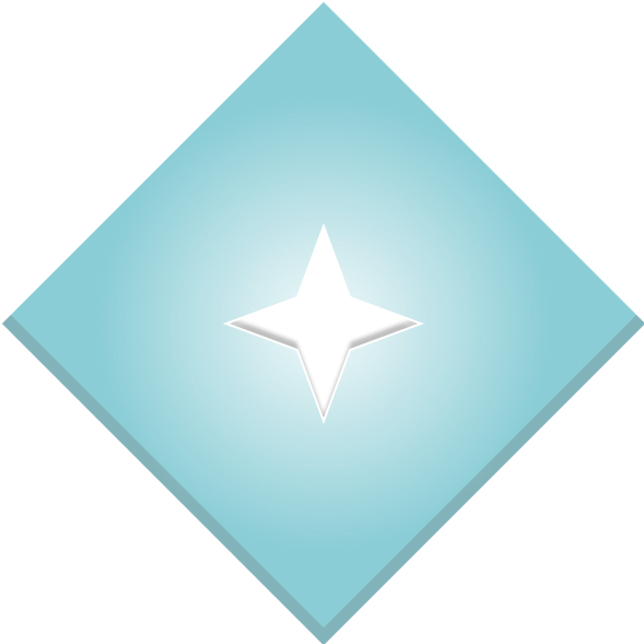 Service Level 4